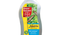 Les insecticides contre les Pucerons chez Bayer