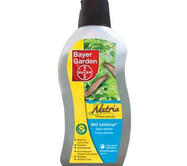 Insecticide contre les Pucerons, Anti Pucerons Jardin Potager, Bayer