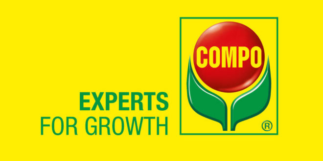 experts for growth